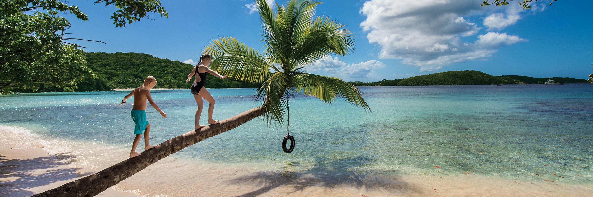 Réduction de 60 % pour 2e passager, gratuité pour enfants et jusqu'à 700 $ de crédit à bord! - background banner