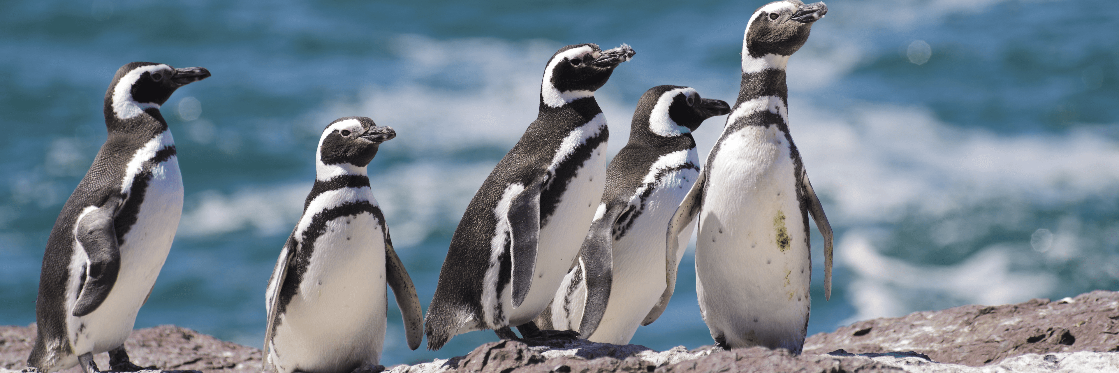 Exclusive Offer: Canadian Dollars at Par + up to $450 Shipboard Credit & Free Beverage Package