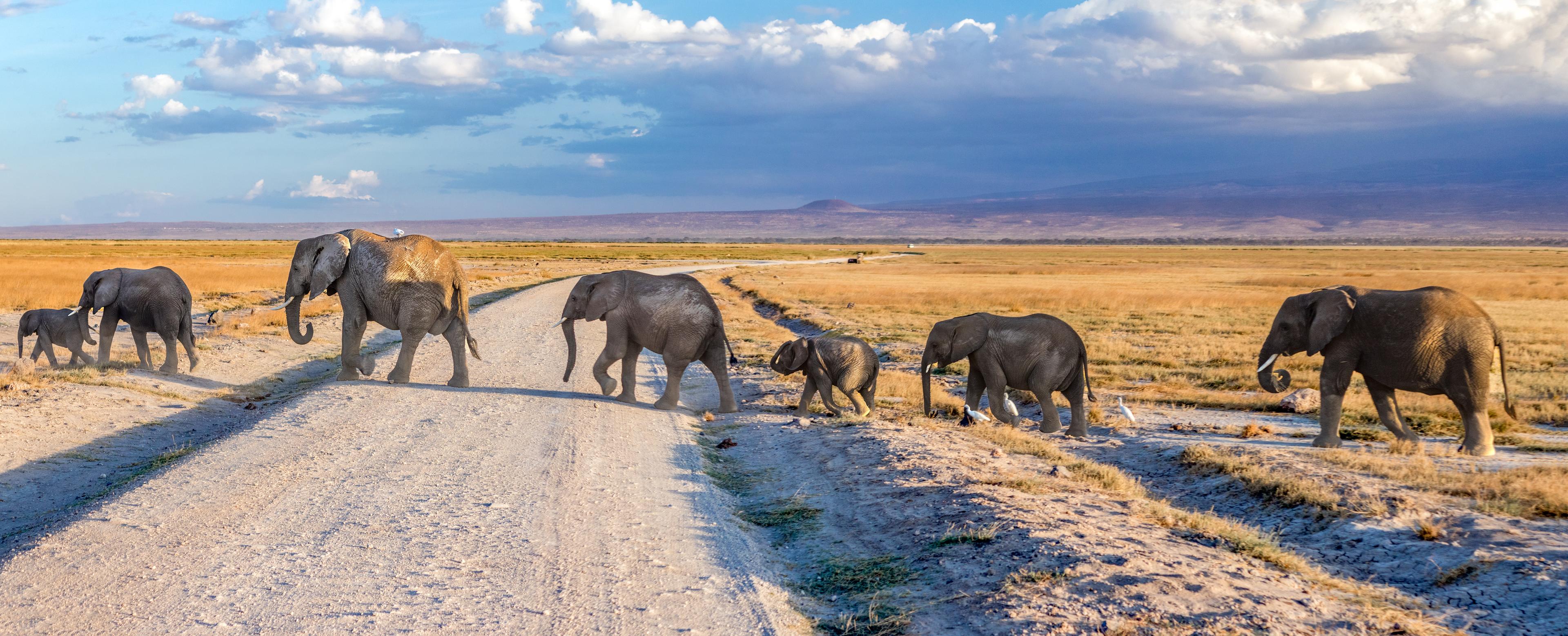 Exploring South Africa, Victoria Falls & Botswana - background banner